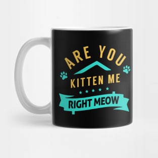 Are You Kitten Me Right Meow Mug